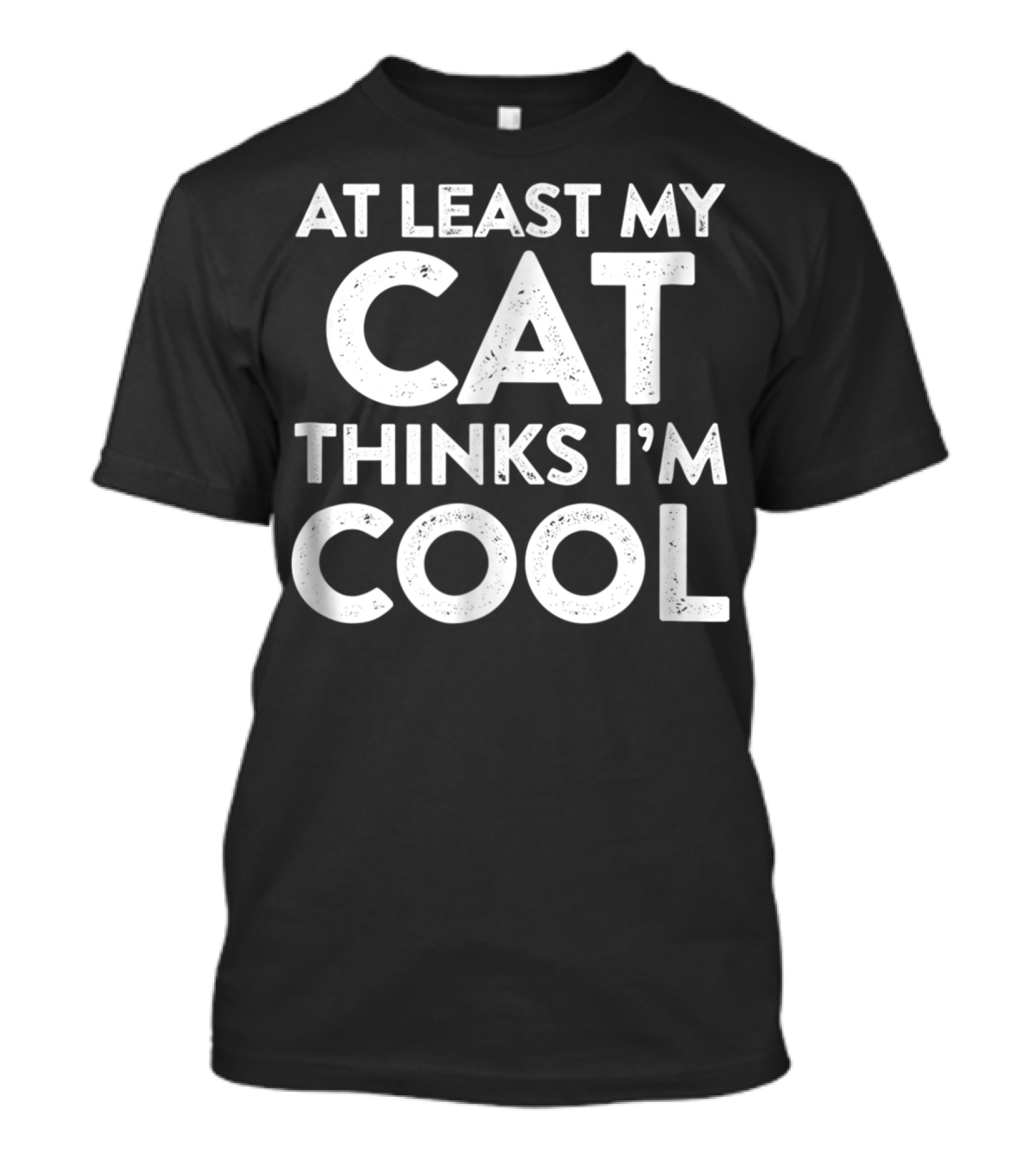 At Least My Cat Thinks I'm Cool Cat Lady Dad81 T-Shirt