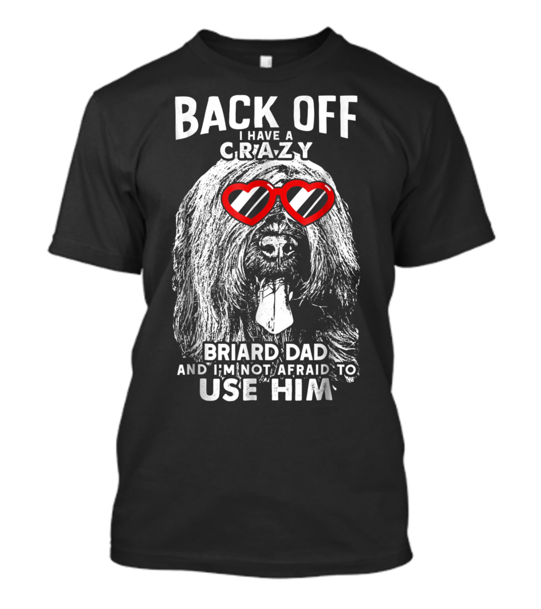 Back Off I Have A Crazy Briard Dad And I'm Not Afraid To Use Him T-Shirt