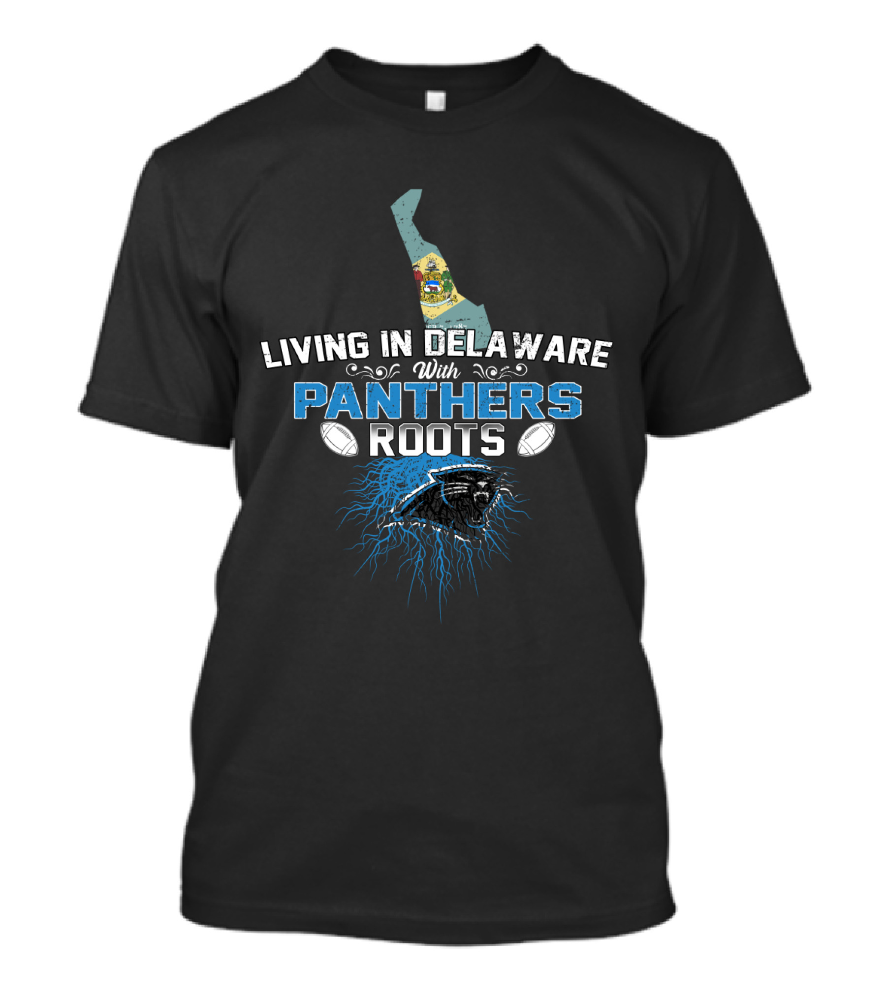 Living In Delaware With Carolina Panthers Roots And Football Passion T-Shirt