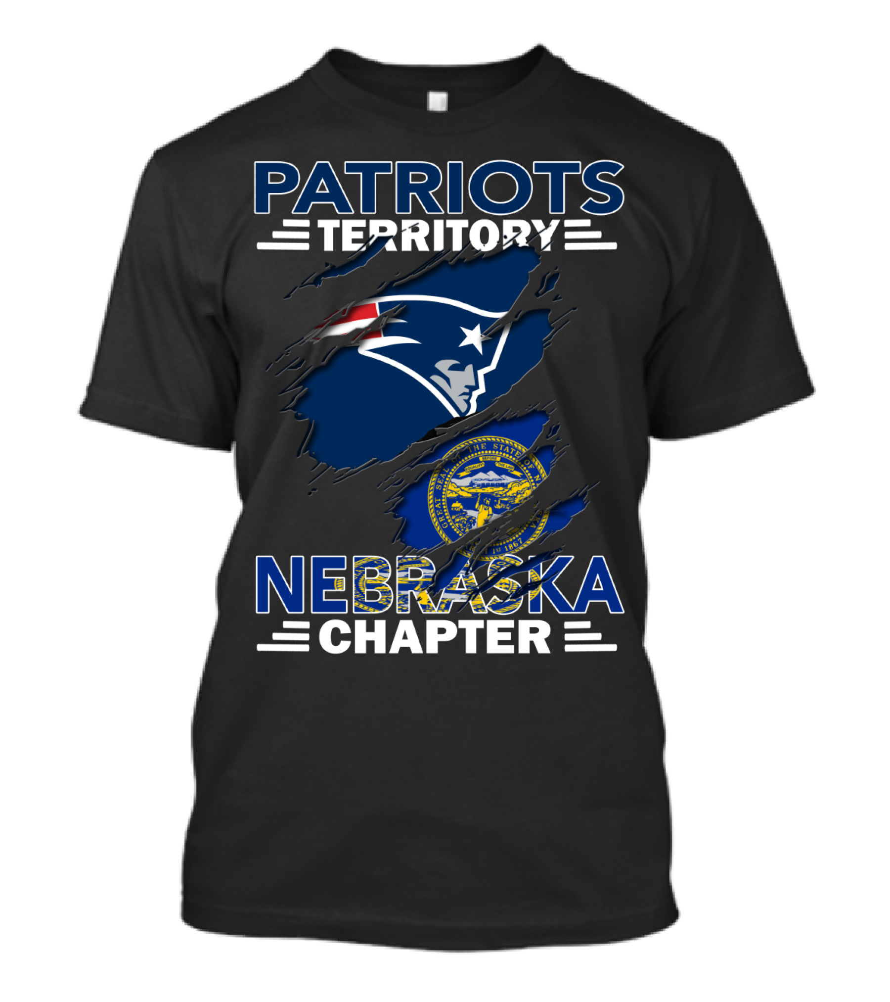 Patriots Territory Nebraska Chapter Logo With State Seal And Iconic Emblem T-Shirt