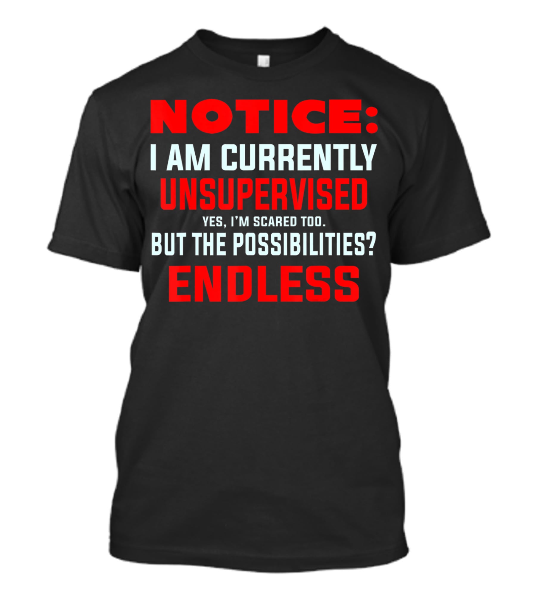 NOTICE I Am Currently Unsupervised Yes I'm Scared Too But The Possibilities Endless T-Shirt