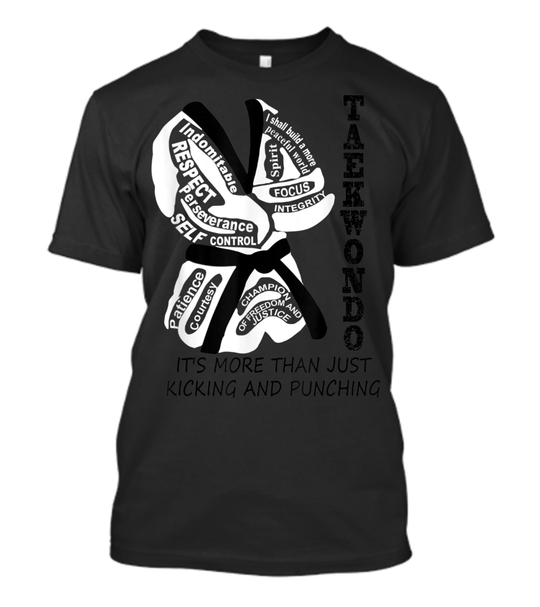 Taekwondo More Than Just Kicking And Punching Respect Perseverance Self-Control Integrity T-Shirt
