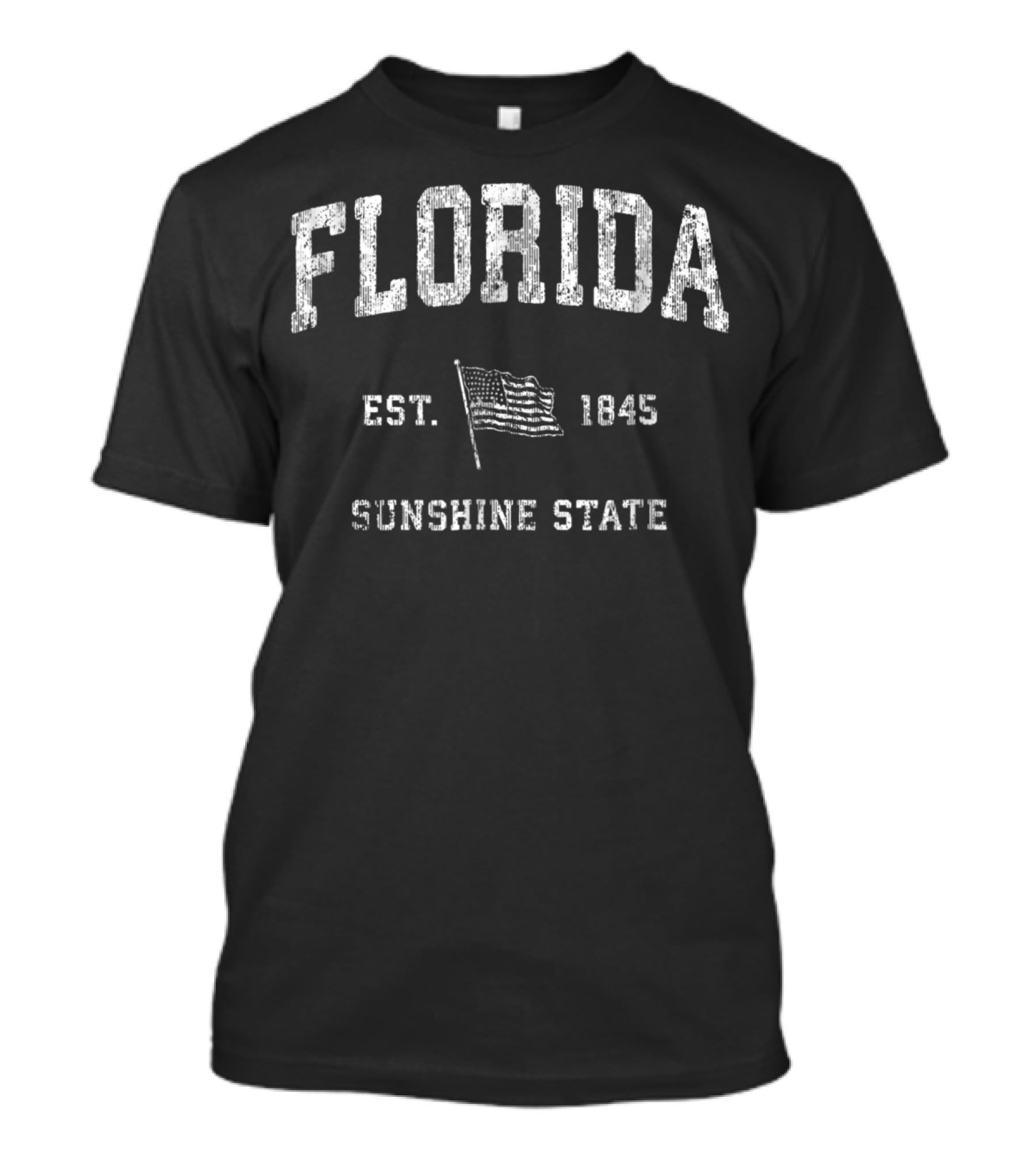 Florida Vintage US Flag Sunshine State Est. 1845 T-Shirt