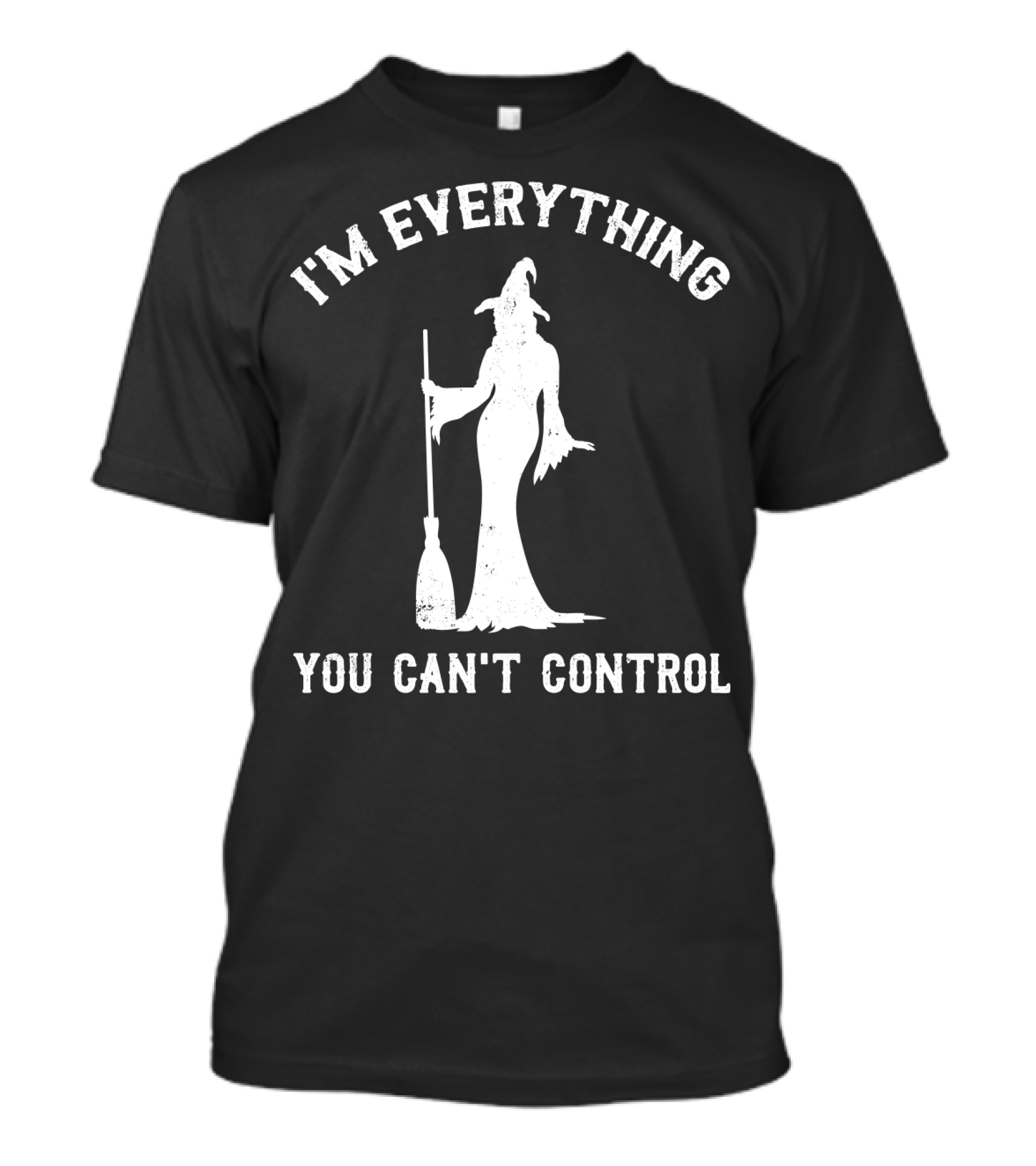 I'm Everything You Can't Control Witch Silhouette Broomstick T-Shirt