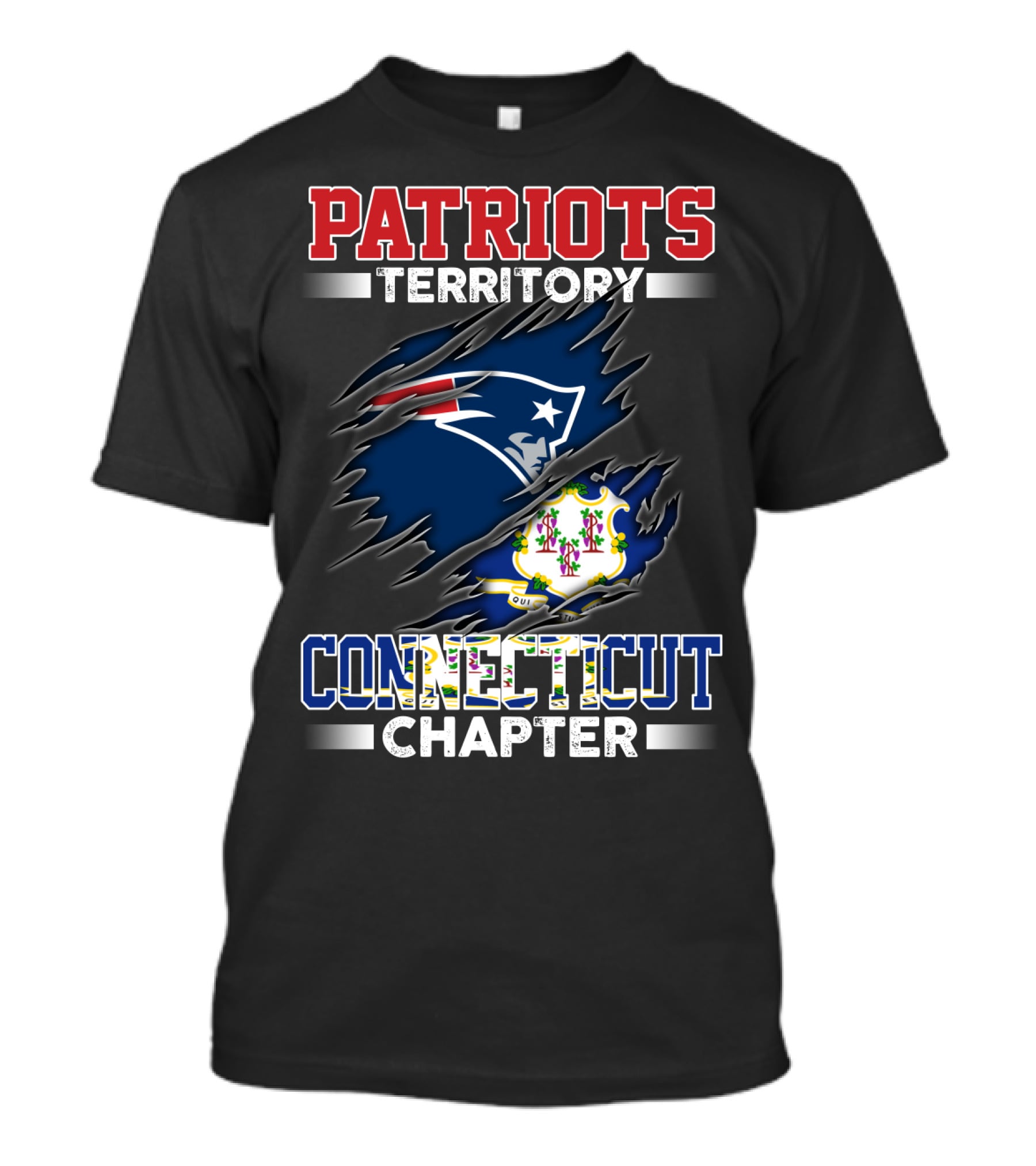 PATRIOTS TERRITORY CONNECTICUT CHAPTER T-Shirt