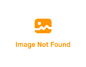 Life Is Good Enjoy The Ride Harley Davidson Motor Company Dogberman T-Shirt