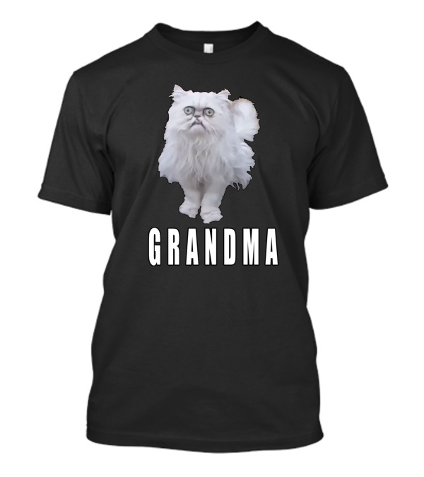Grandma Meme Stray Cat Humor T-Shirt