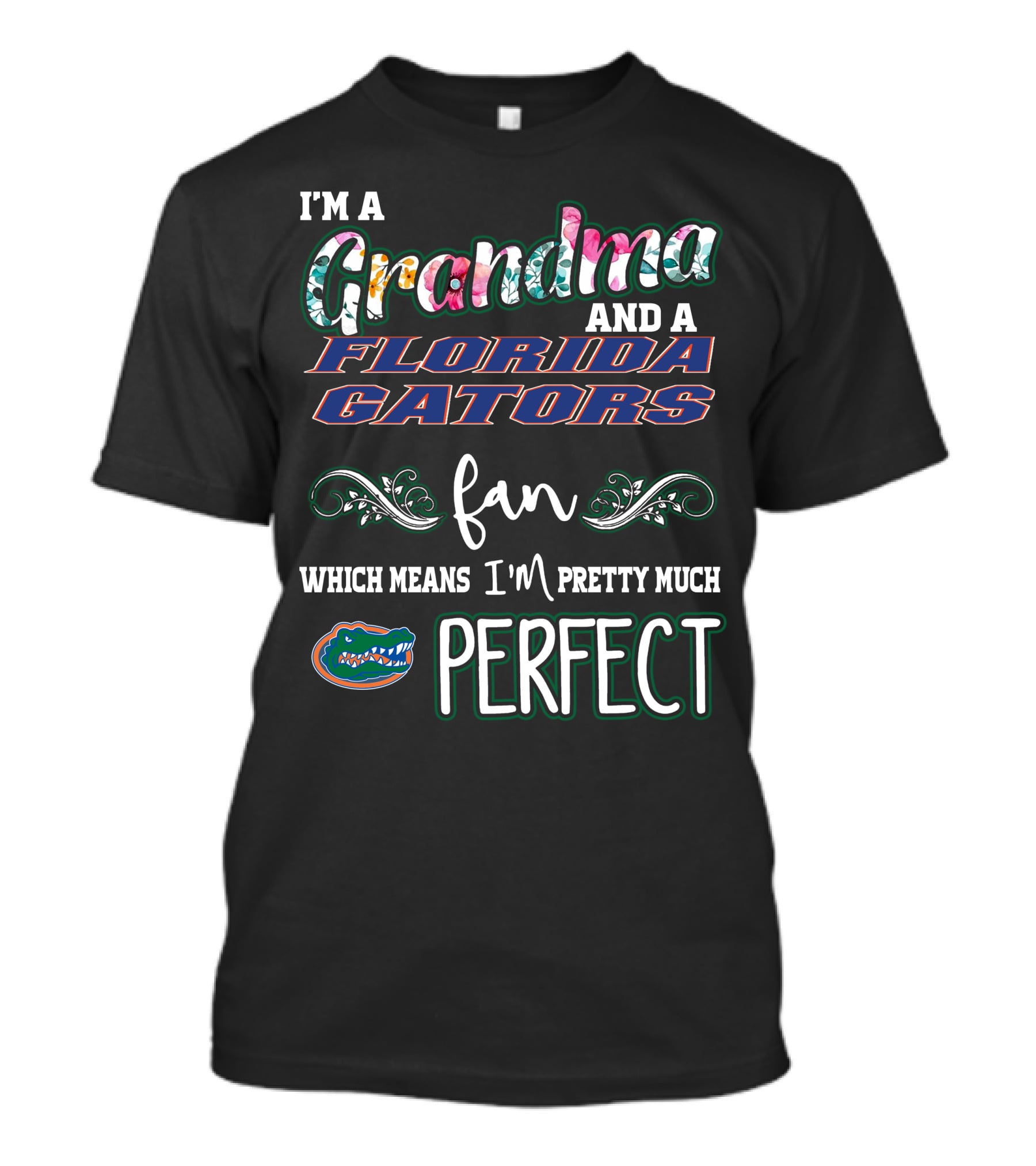 I'm A Grandma And A Florida Gators Fan Which Means I'm Pretty Much Perfect T-Shirt