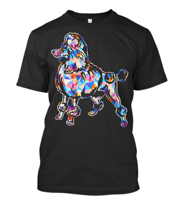 Poodle Poodle Geometric Colorful T-Shirt
