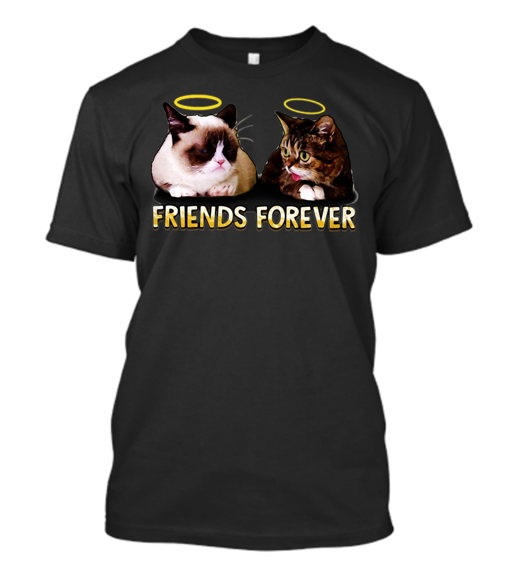 Grumpy Lil Bub Friends Forever T-Shirt