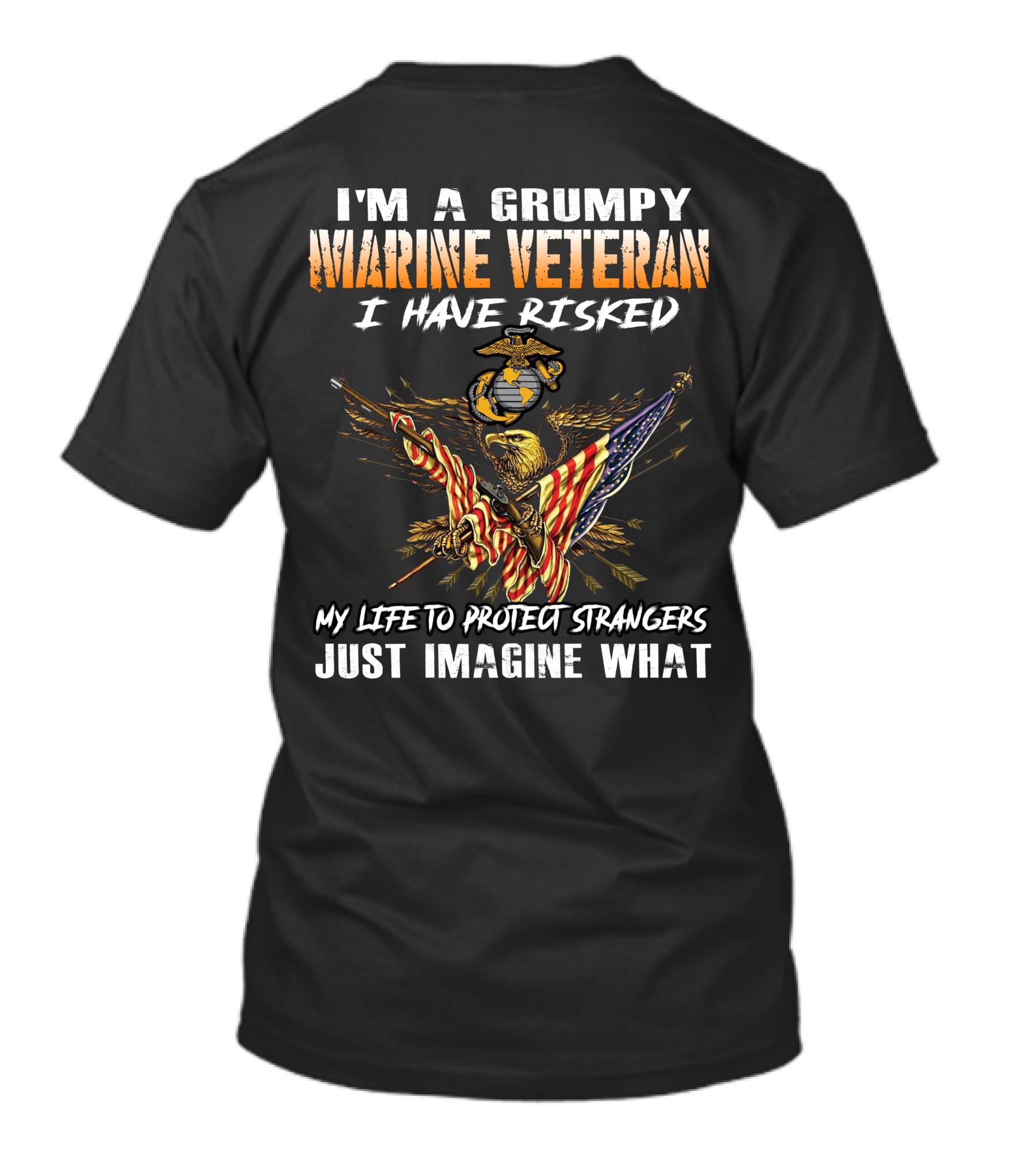I'm A Grumpy Marine Veteran I Have Risked My Life To Protect Strangers Just Imagine What T-Shirt