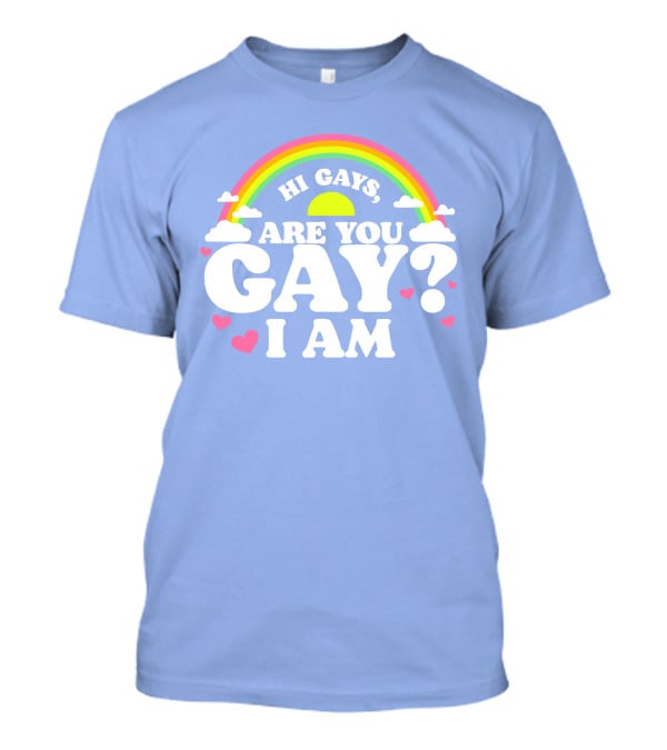 Chrissy Chlapecka Merch Hi Gays Are You Gay I Am With Rainbow And Hearts T-Shirt