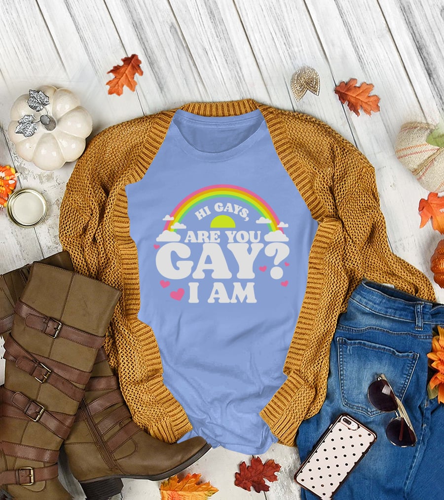 Chrissy Chlapecka Merch Hi Gays Are You Gay I Am With Rainbow And Hearts T-Shirt