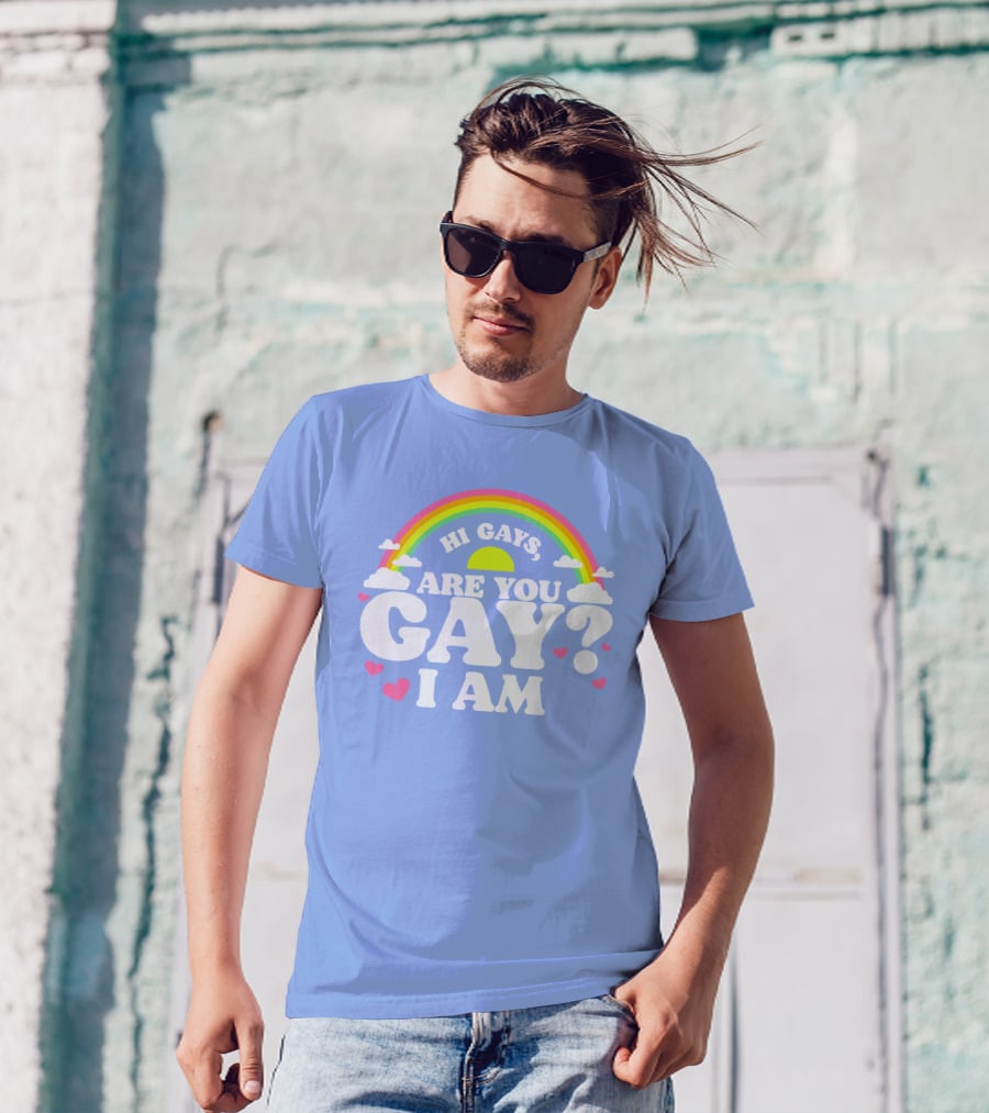 Chrissy Chlapecka Merch Hi Gays Are You Gay I Am With Rainbow And Hearts T-Shirt