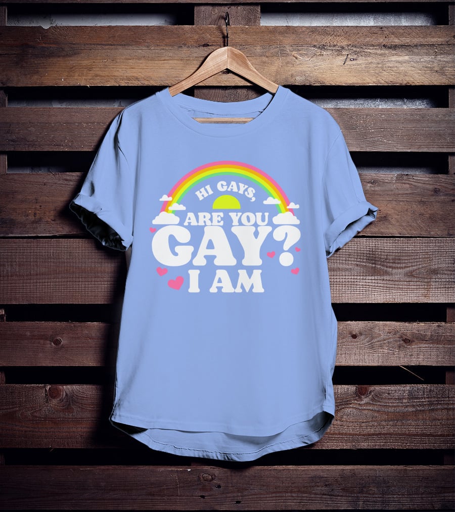 Chrissy Chlapecka Merch Hi Gays Are You Gay I Am With Rainbow And Hearts T-Shirt
