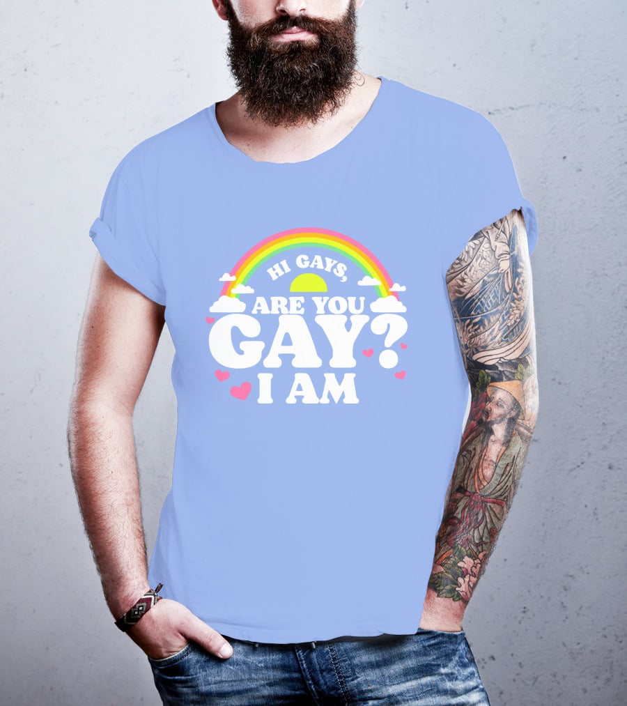 Chrissy Chlapecka Merch Hi Gays Are You Gay I Am With Rainbow And Hearts T-Shirt