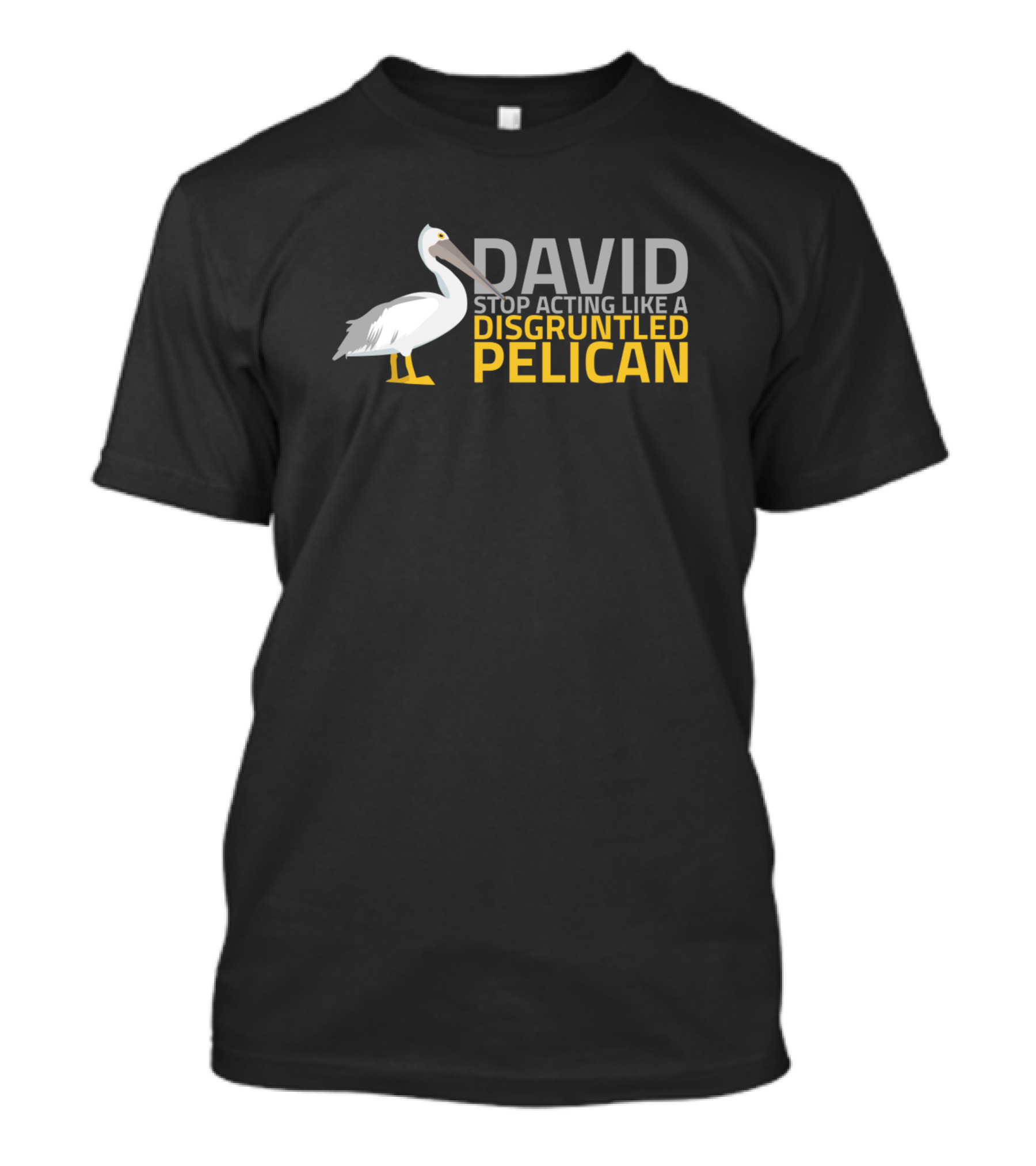 David Stop Acting Like A Disgruntled Pelican T-Shirt