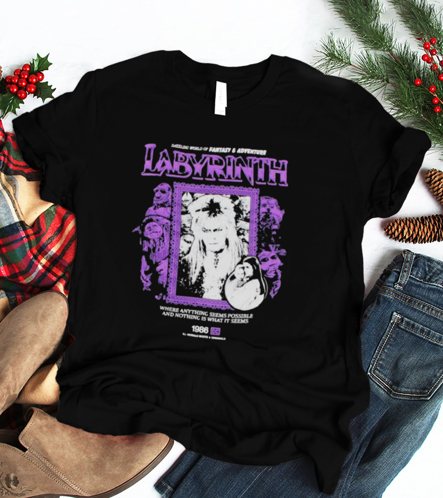 Dazzling World Of Fantasy And Adventure Labyrinth 1986 Where Anything Seems Possible And Nothing Is What It Seems T-Shirt