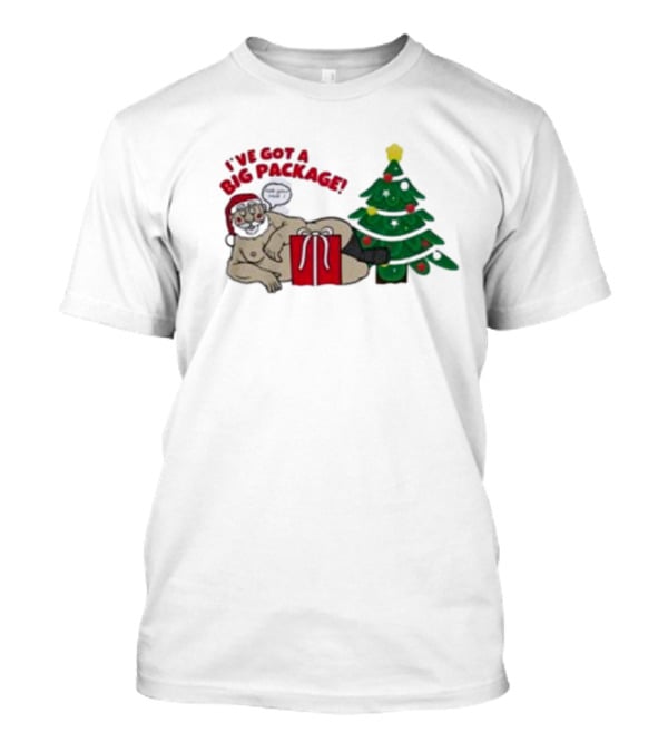 I've Got A Big Package Santa's Tree Smash Ugly Christmas T-Shirt
