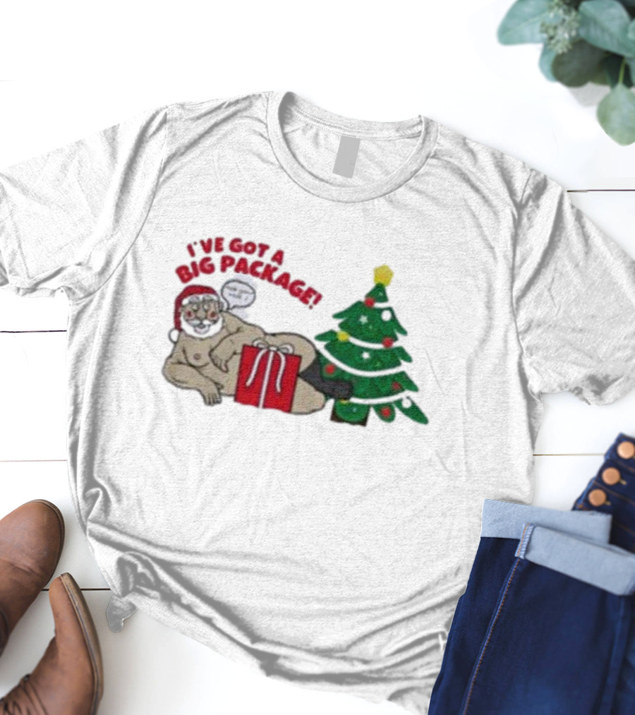 I've Got A Big Package Santa's Tree Smash Ugly Christmas T-Shirt