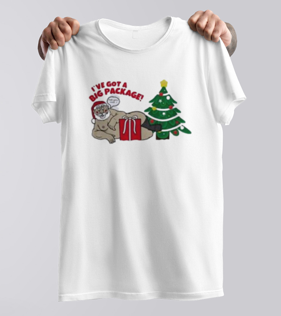 I've Got A Big Package Santa's Tree Smash Ugly Christmas T-Shirt