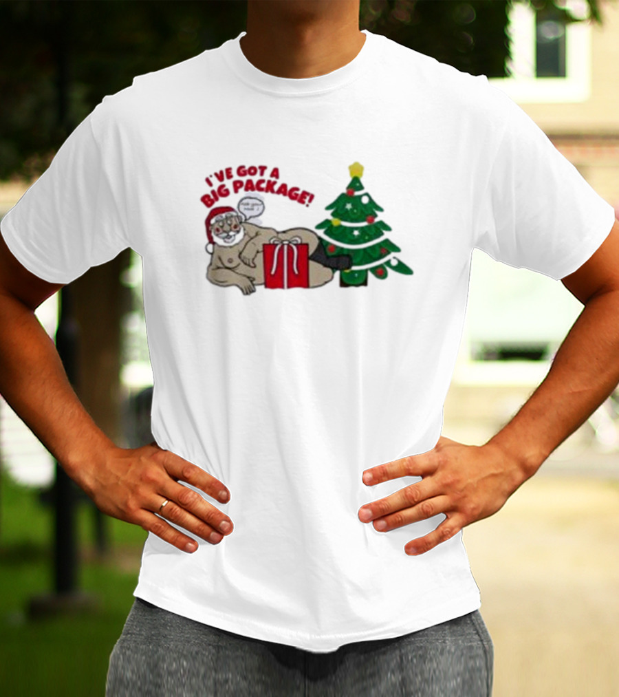 I've Got A Big Package Santa's Tree Smash Ugly Christmas T-Shirt