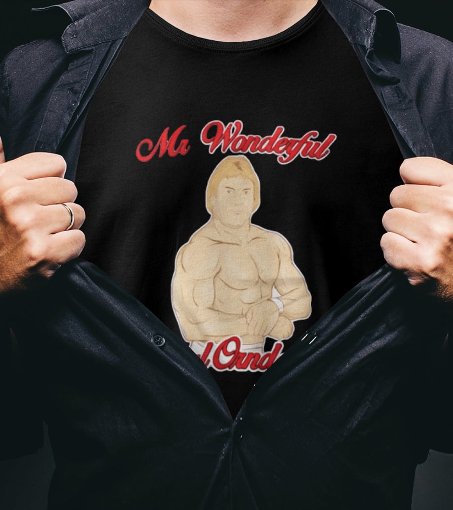 Mr Wonderful Paul Orndorff Vintage Wrestling Legend T-Shirt