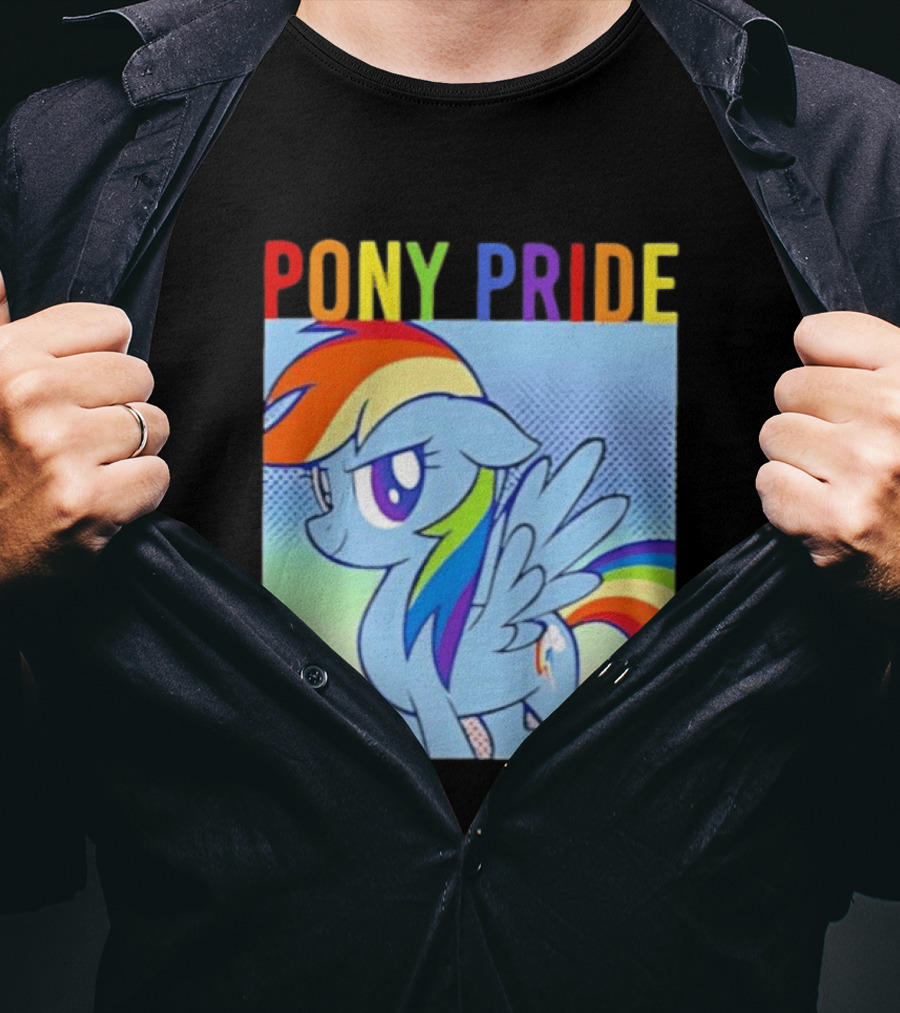 Rainbow Dash Pony Pride My Little Pony Rainbow T-Shirt