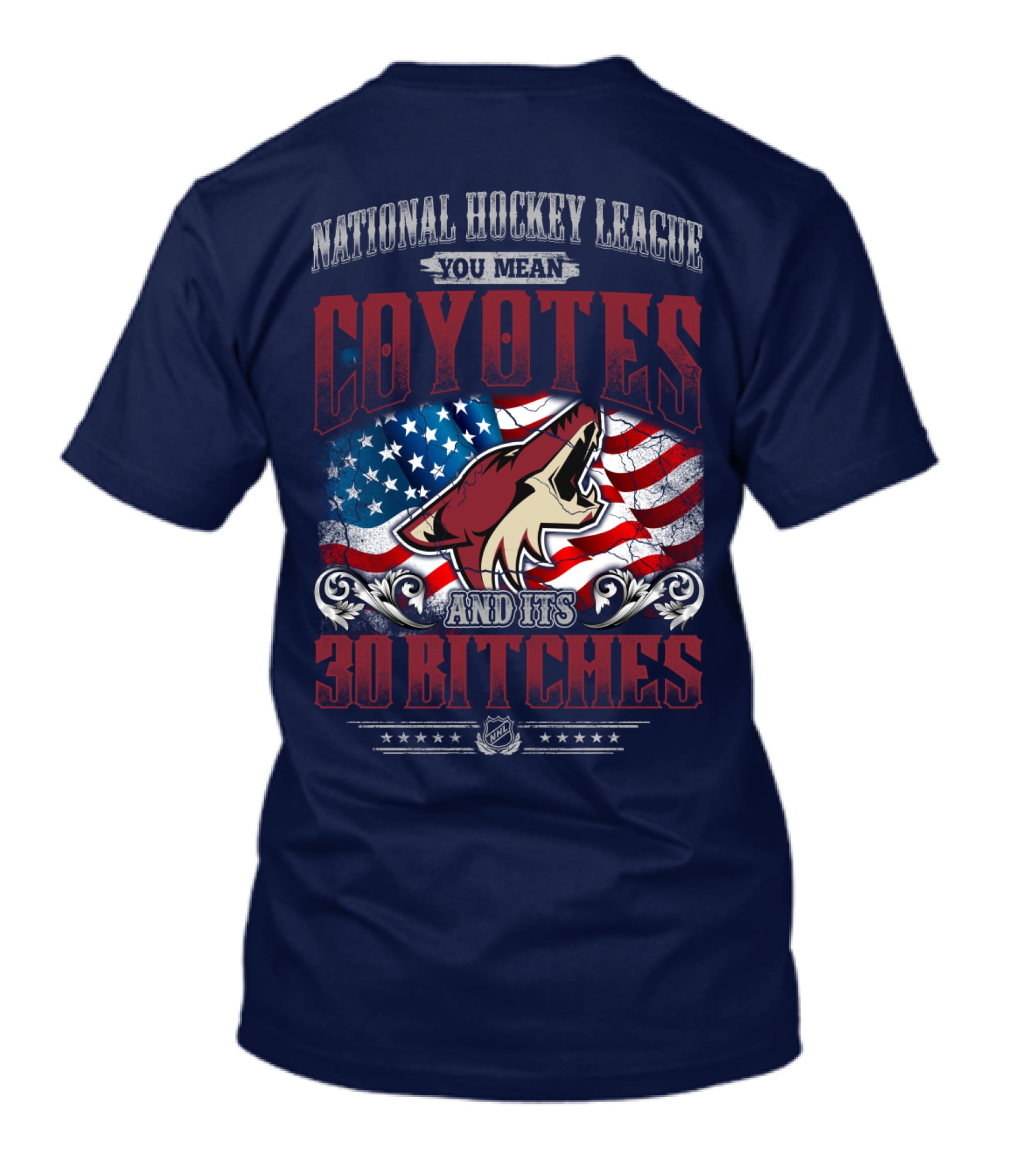 National Hockey League Coyotes And Its 30 Bitches American Flag T-Shirt