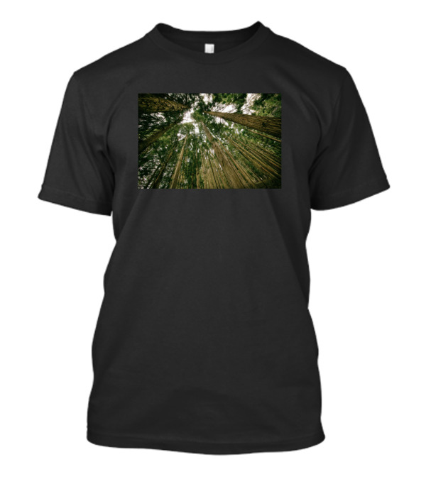 Tree Forest Wood Nature Tall Canopy View T-Shirt