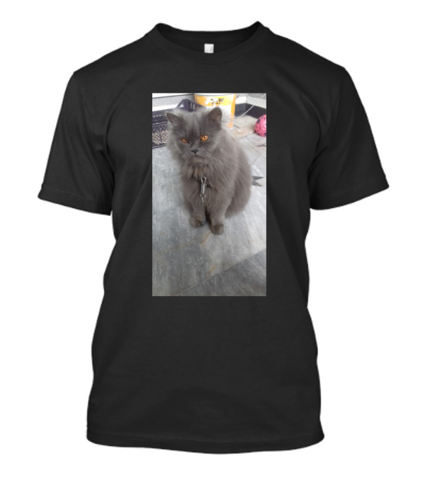 Orange Eyes Gray Cat On Leash T-Shirt