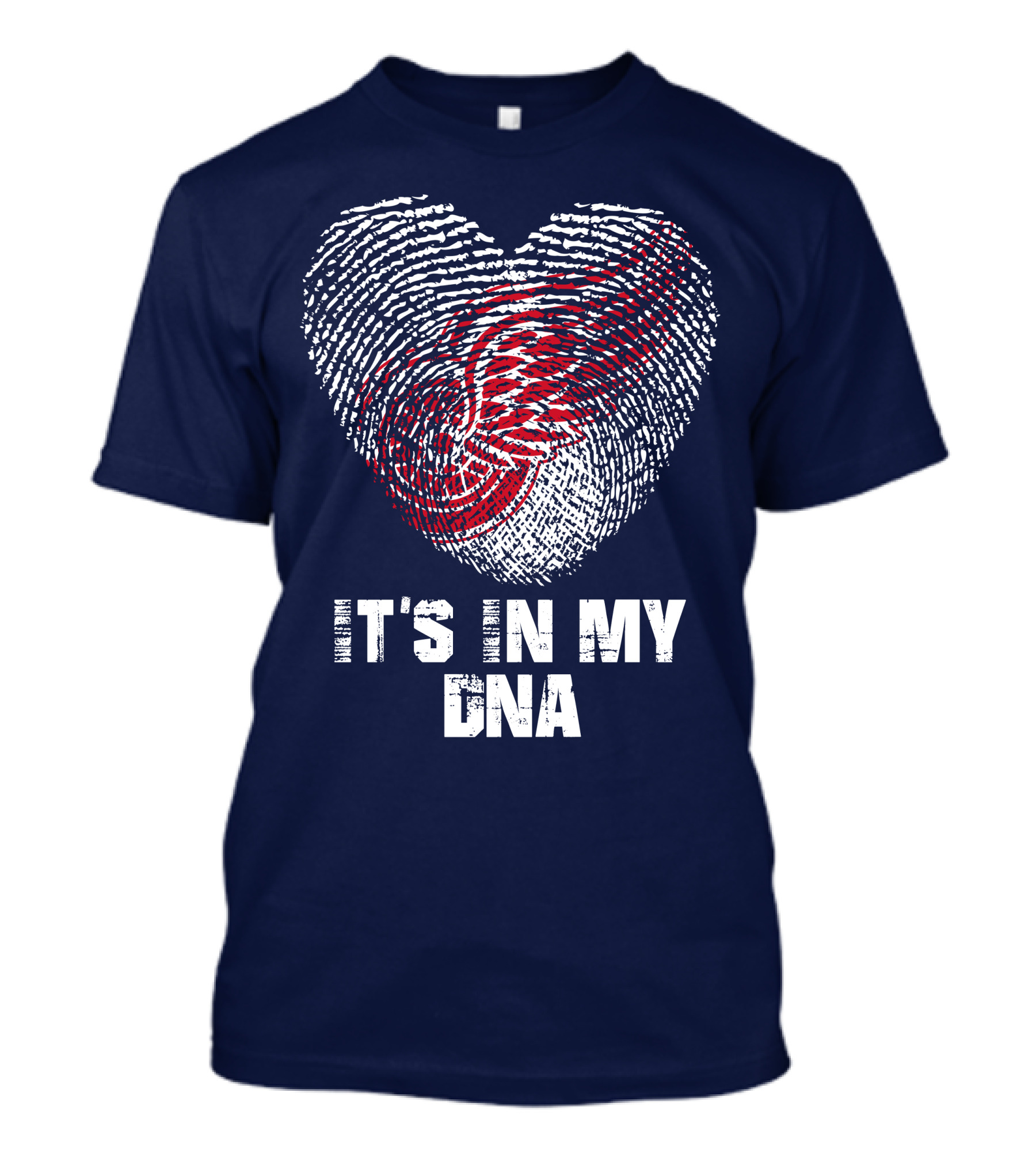 Detroit Redwings It's In My Dna T-Shirt