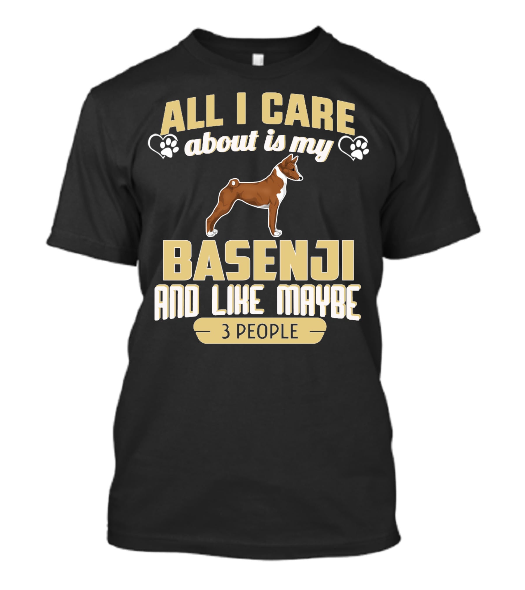 All I Care About Is My Basenji And Like Maybe 3 People T-Shirt