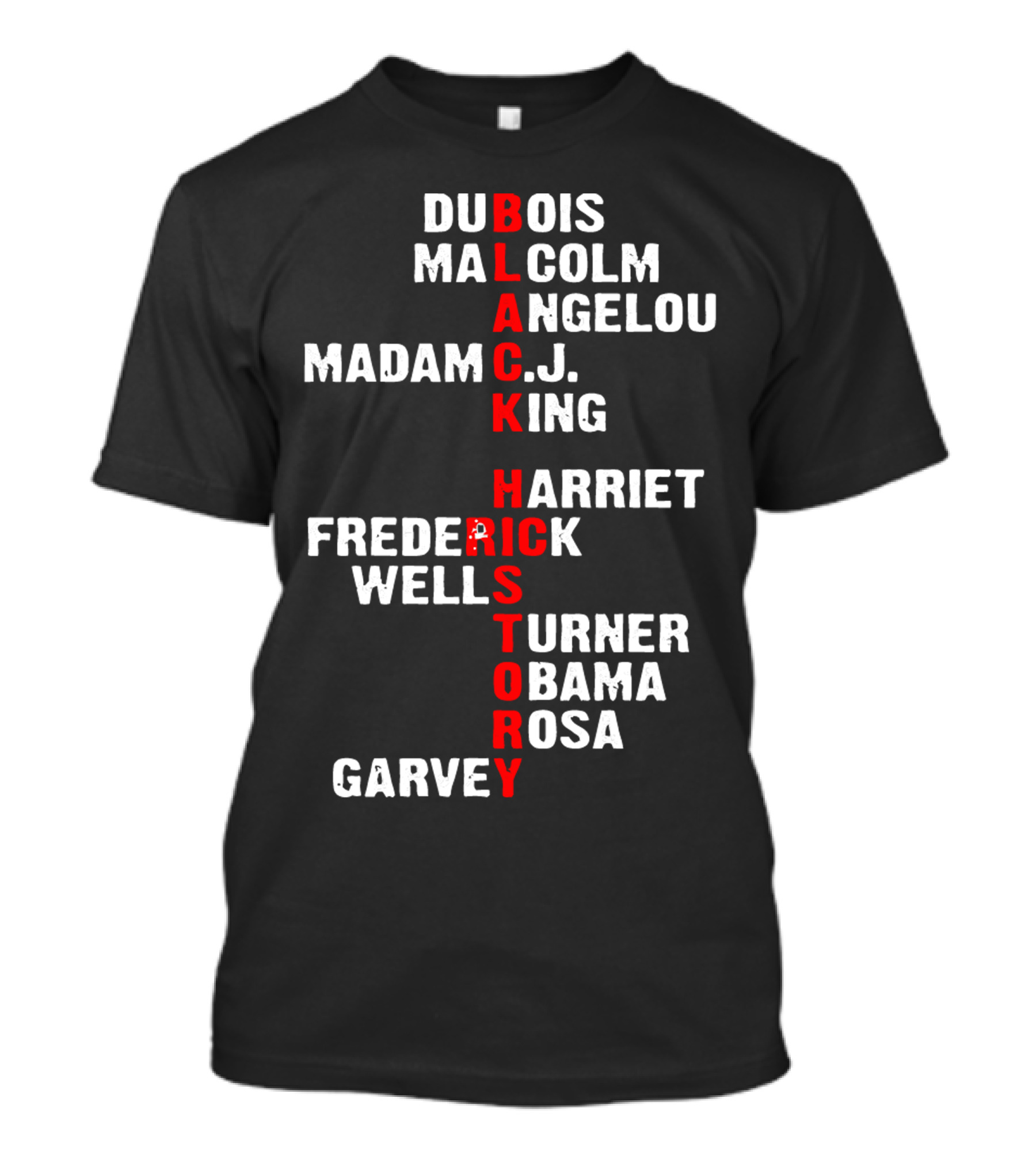 Black History 365 Du Bois Malcolm Angelou Madam C.J. King Harriet Frederick Wells Turner Obama Rosa Garvey T-Shirt