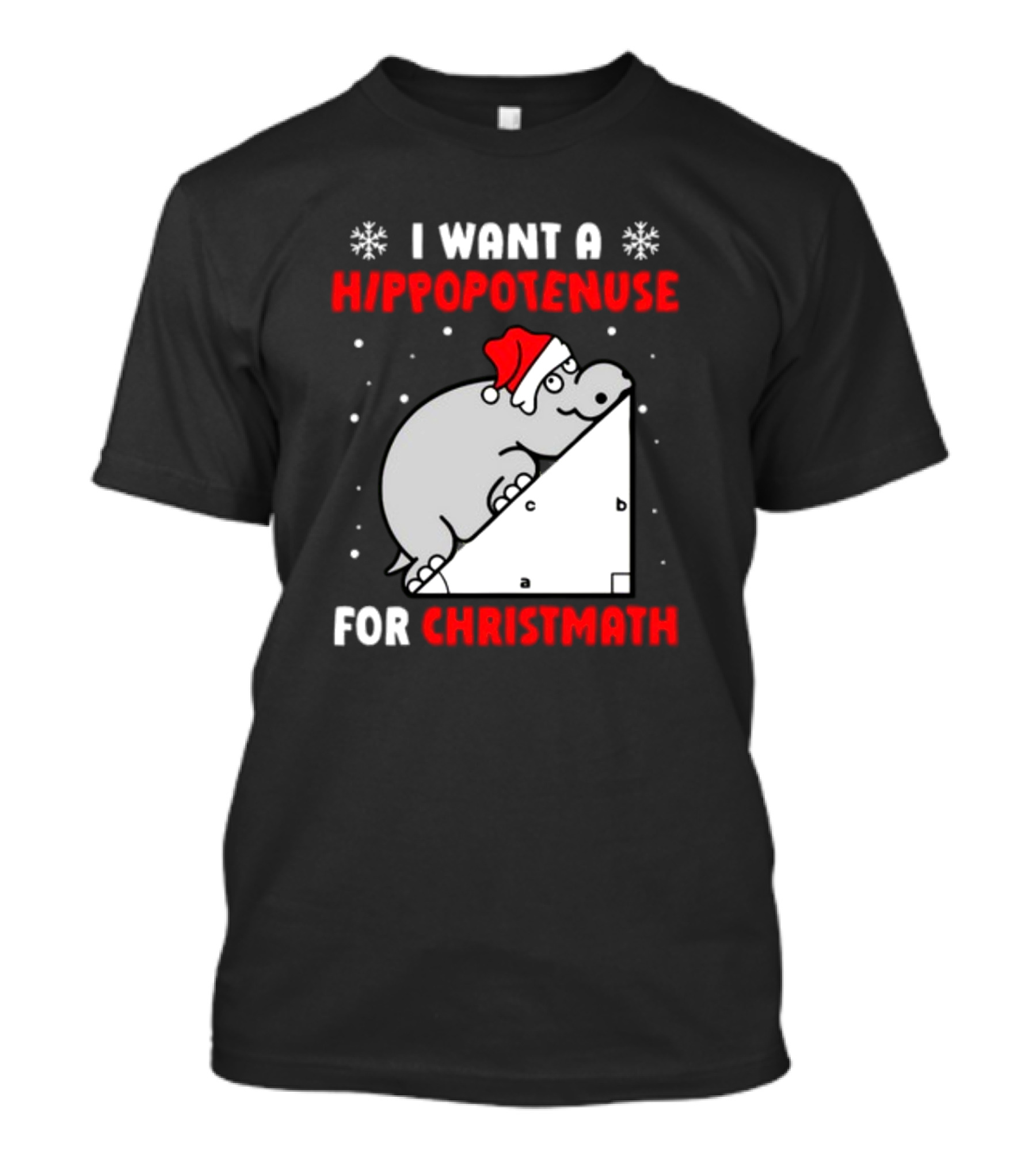 I Want A Hippopotenuse For Christmath Santa Hippo Geometry T-Shirt
