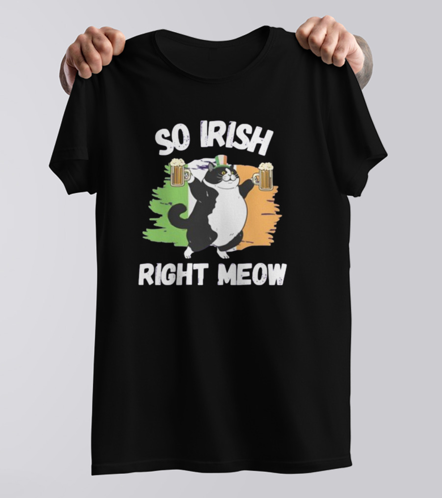 So Irish Right Meow Cat Holding Beer With Irish Flag In Background T-Shirt