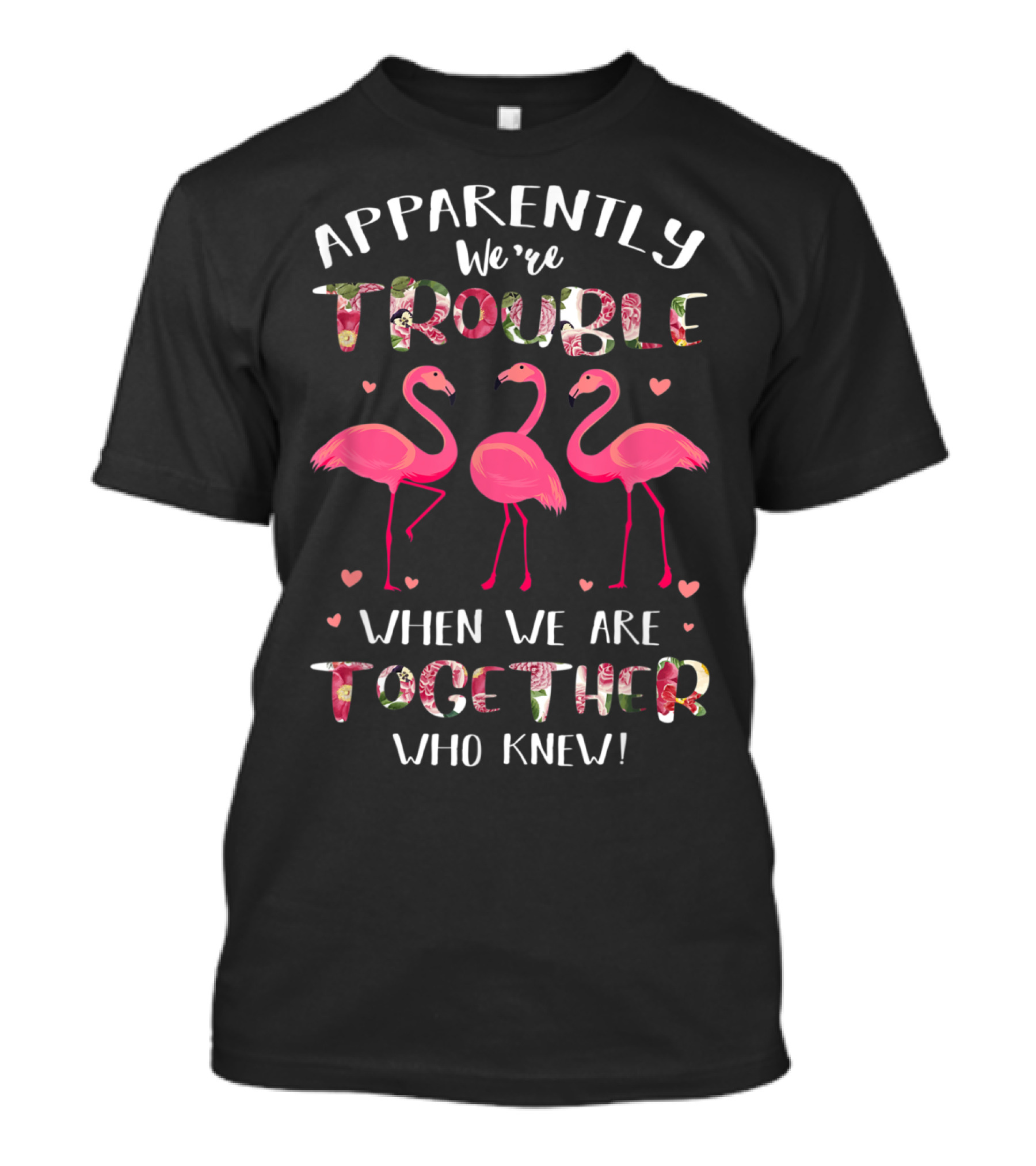 Apparently We're Trouble When We Are Together Flamingo Who Knew T-Shirt