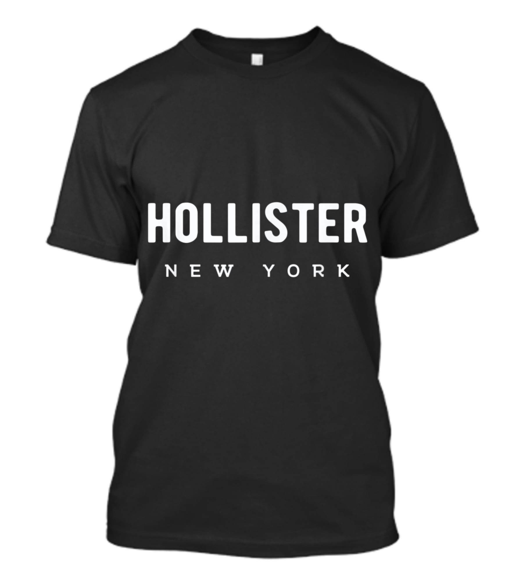 Hollister New York State Pride Family Friend Group T-Shirt