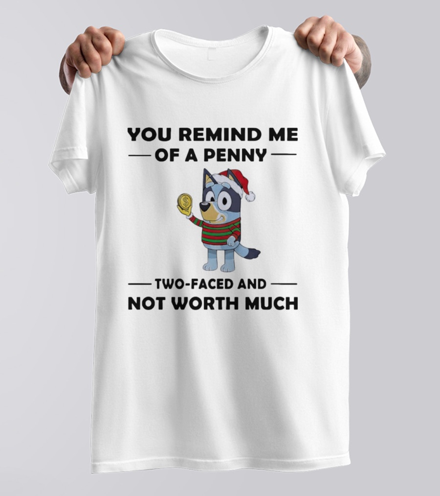 You Remind Me Of A Penny Two Faced And Not Worth Much Holiday Dog Santa Hat Striped Sweater T-Shirt