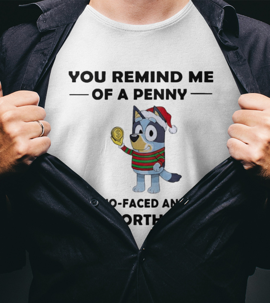 You Remind Me Of A Penny Two Faced And Not Worth Much Holiday Dog Santa Hat Striped Sweater T-Shirt