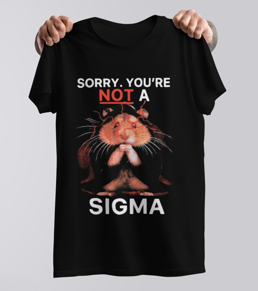 Sorry You're Not A Sigma Hamster T-Shirt