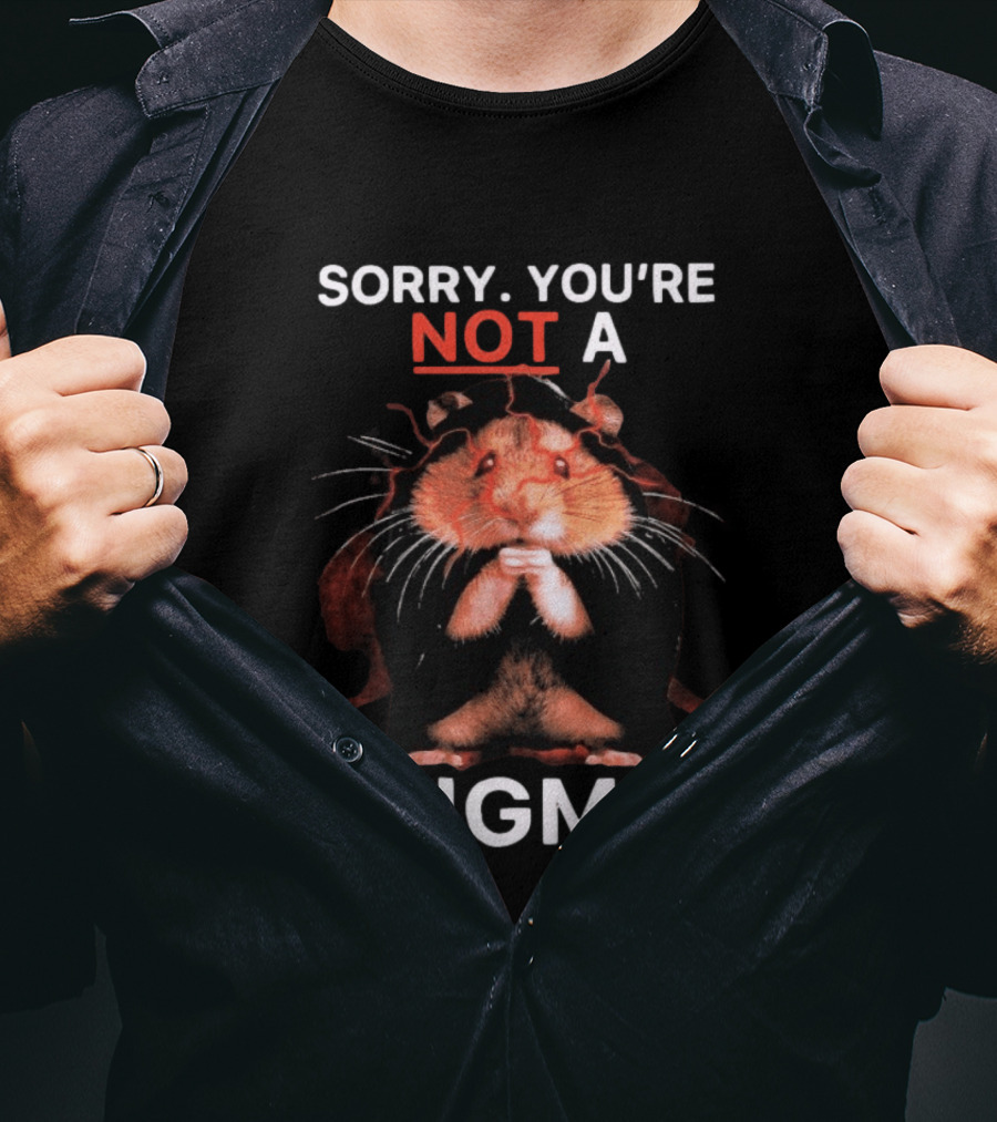 Sorry You're Not A Sigma Hamster T-Shirt