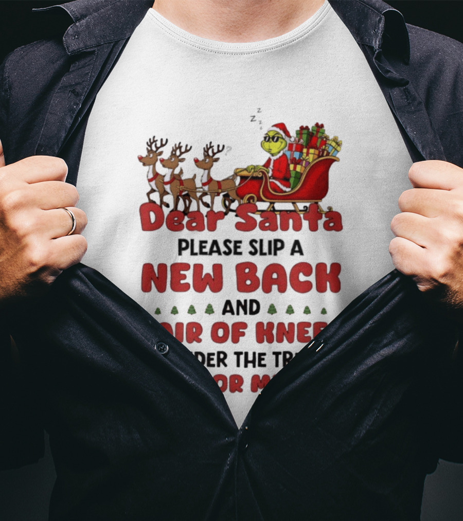 Dear Santa Grinch New Back Pair Of Knees Christmas Humor T-Shirt