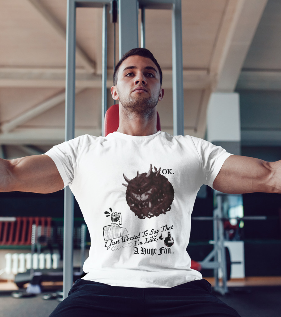 OK I Just Wanted To Say That I'm Like A Huge Fan T-Shirt