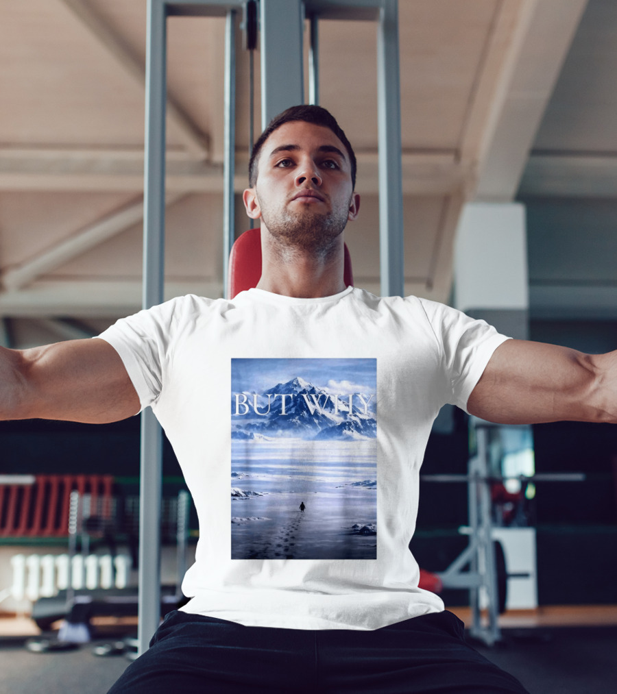 But Why Penguin Mountains T-Shirt