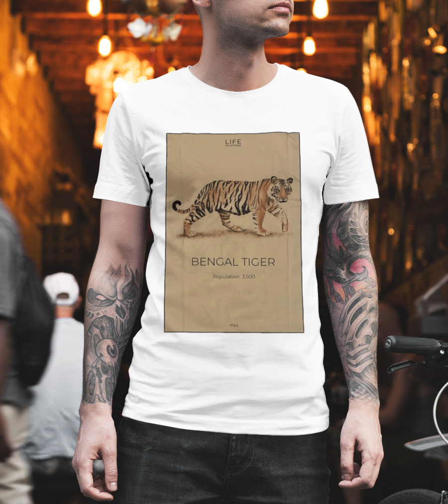 Life Collections Bengal Tiger Population 3,500 1st Ed T-Shirt