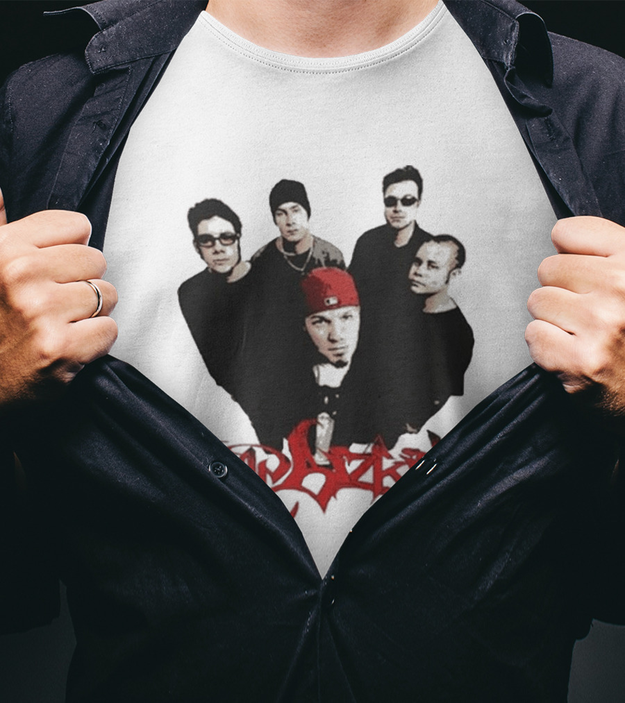 What Do You Guys Think Of My Limp Bizkit Band Members T-Shirt