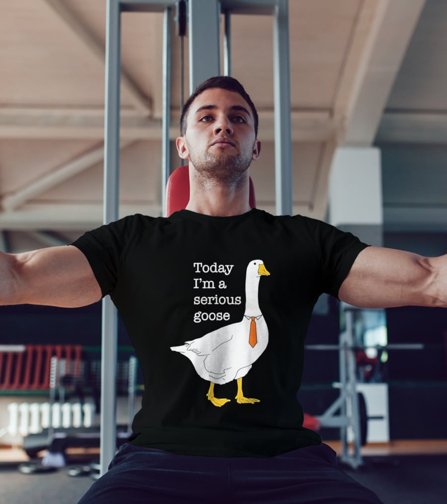 Today I'm A Serious Goose T-Shirt