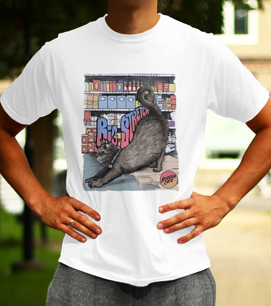 Big Stretch Bodega Cats Groceries Stack T-Shirt
