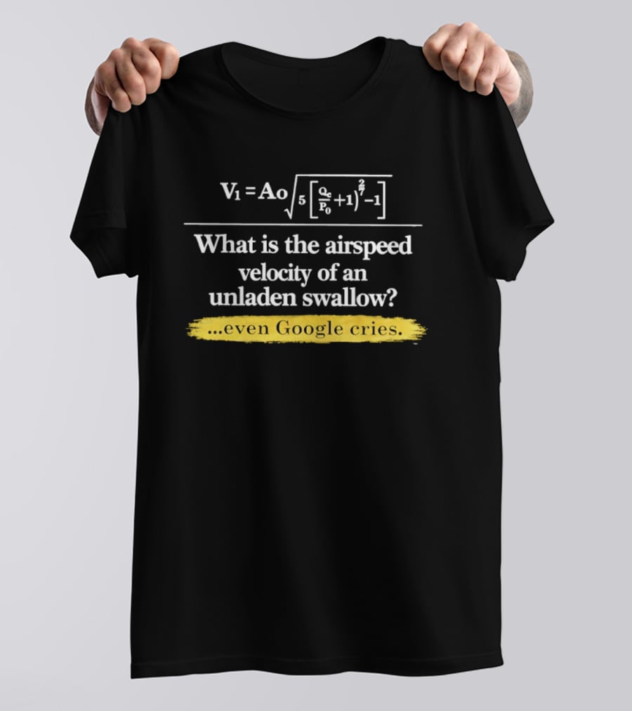 V1 Ao Formula What Is The Airspeed Velocity Of An Unladen Swallow Even Google Cries T-Shirt
